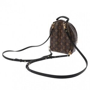 Louis Vuitton Monogram Canvas Springs Palm Backpack Brown Daypack